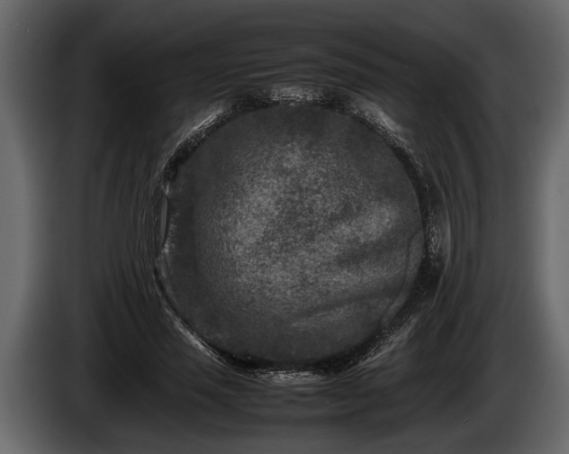 X0000085730637200703231049