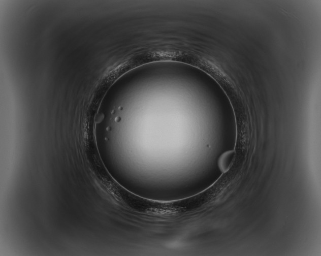 X0000085730639200703231049