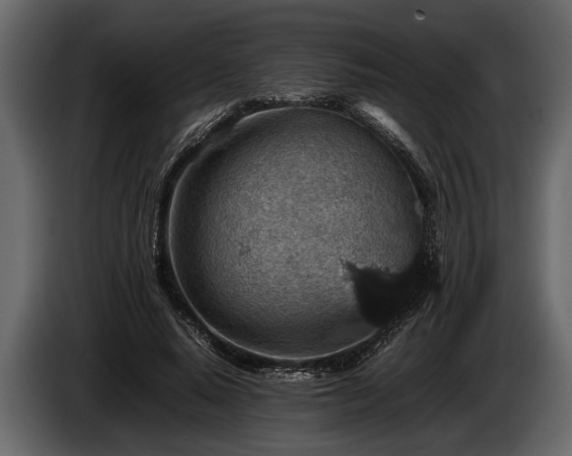 X0000085730640200703231049