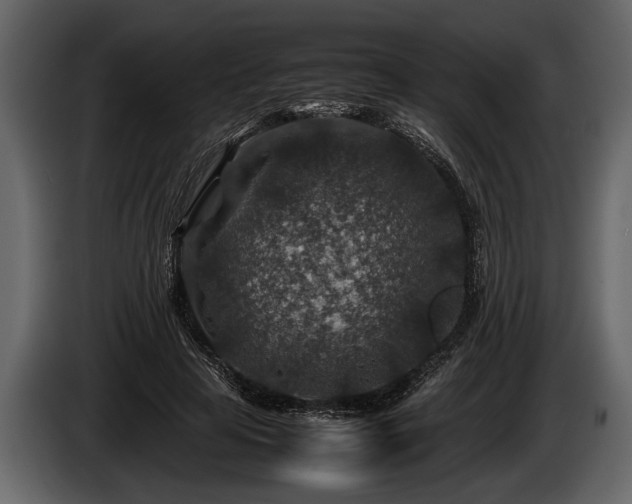 X0000085730641200703231049