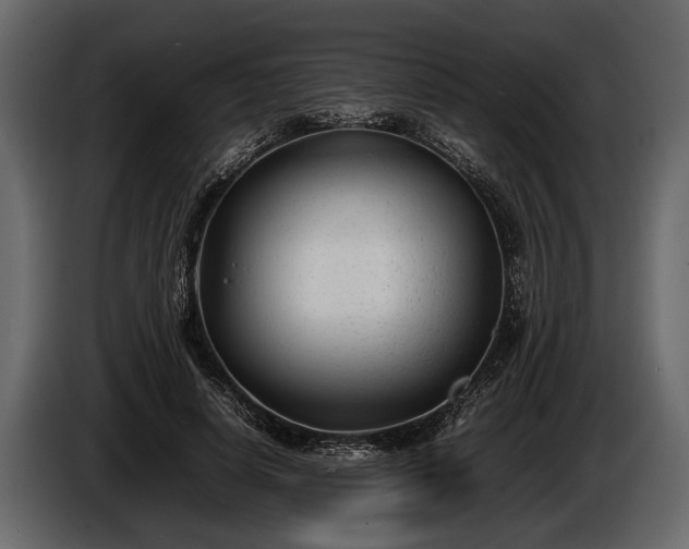 X0000085730642200703231049