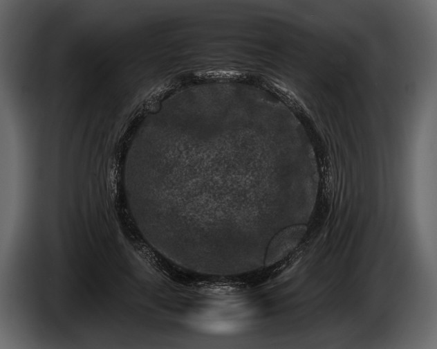 X0000085730643200703231049