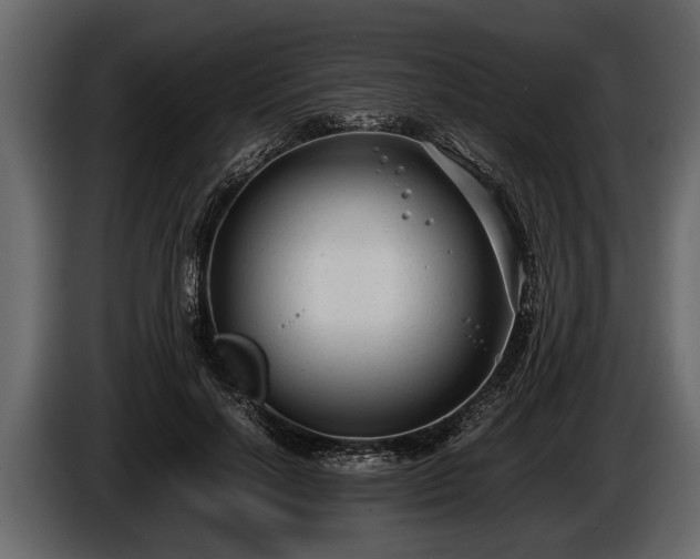 X0000085730646200703231049