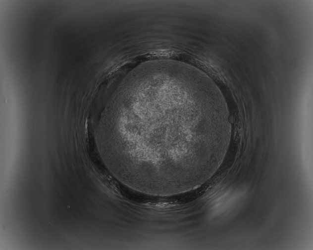 X0000085730647200703231049