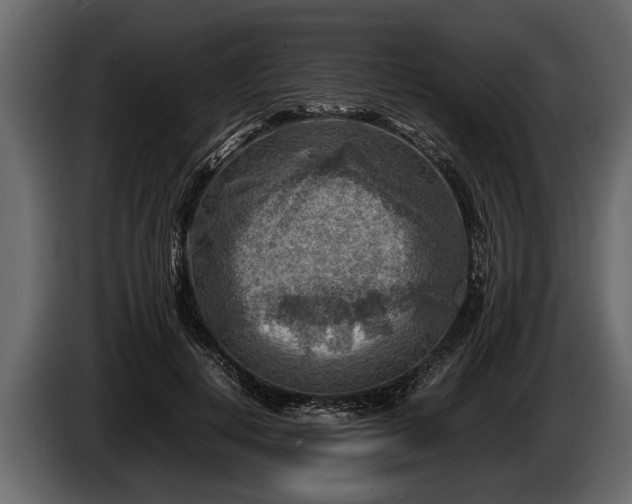 X0000085730648200703231049