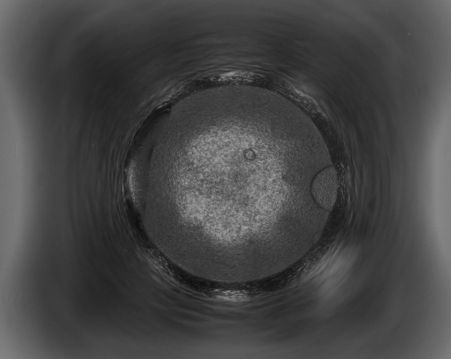 X0000085730649200703231049