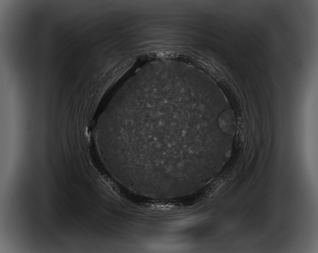 X0000085730650200703231049