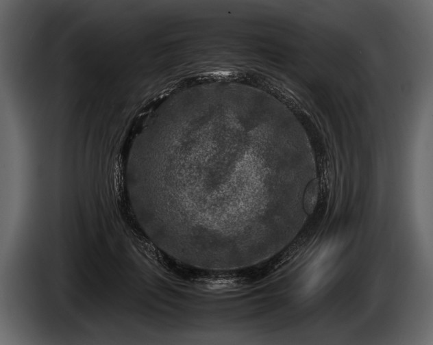 X0000085730651200703231049