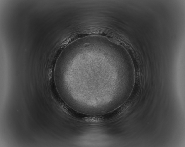 X0000085730652200703231049