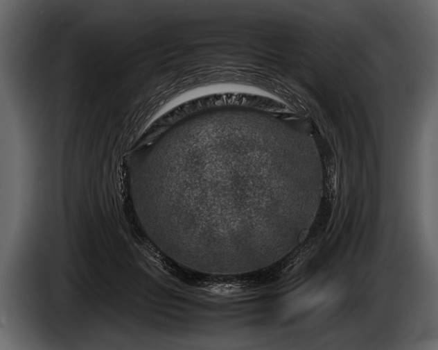 X0000085730653200703231049