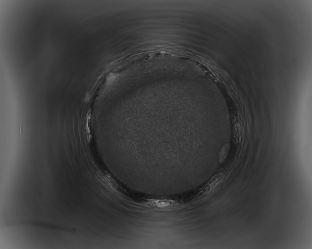 X0000085730654200703231049