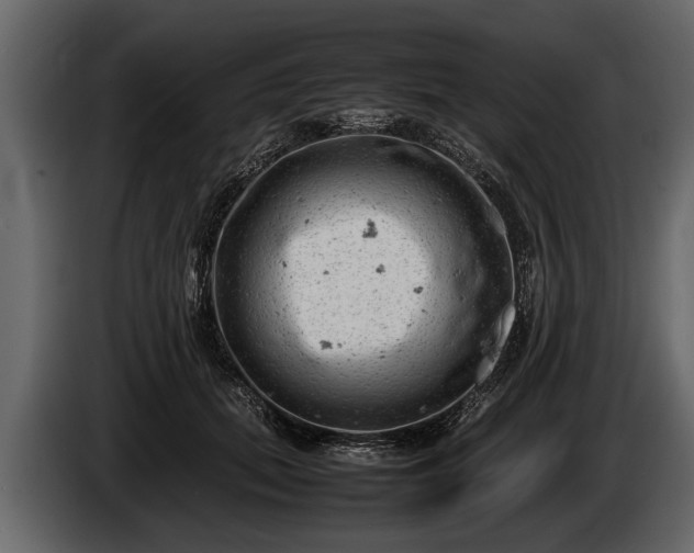 X0000085730655200703231049