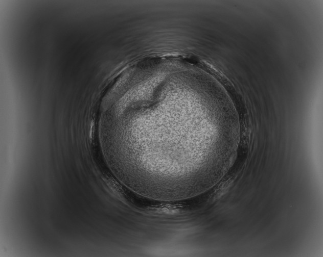 X0000085730656200703231049