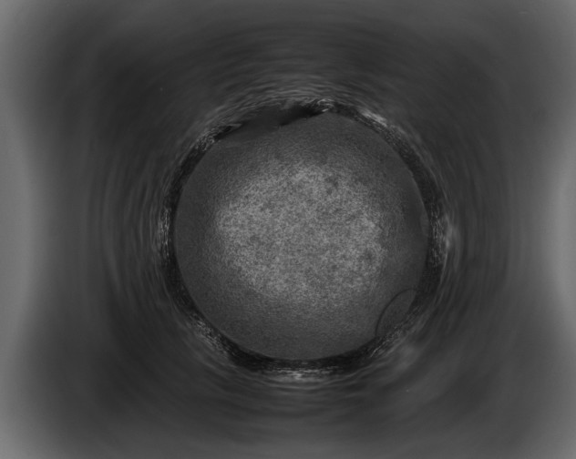 X0000085730657200703231049