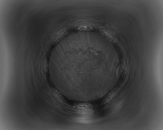 X0000085730659200703231049