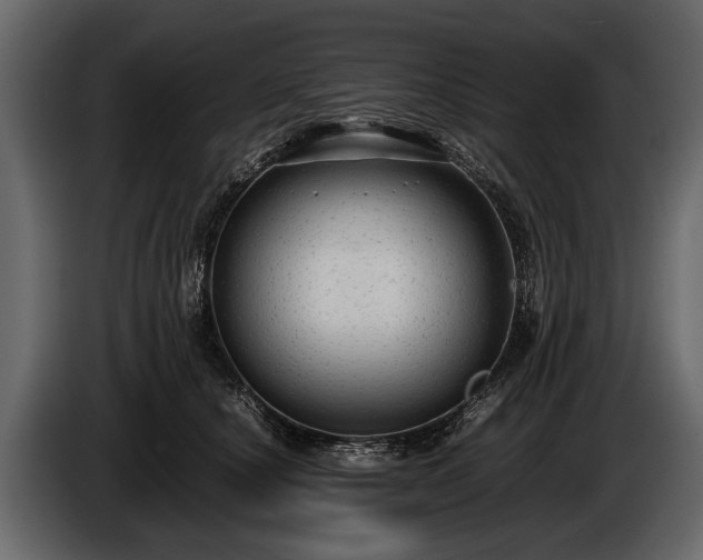 X0000085730660200703231049