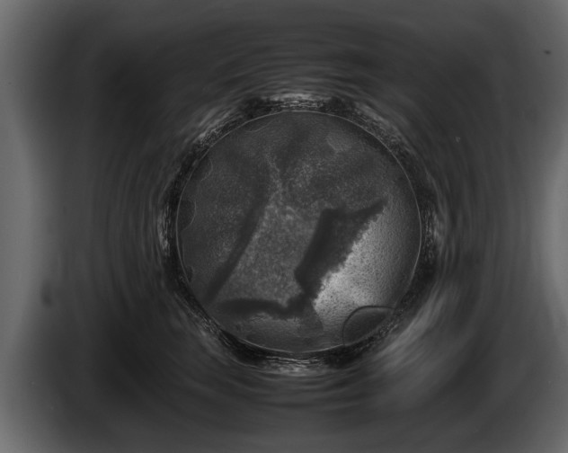 X0000085730663200703231049