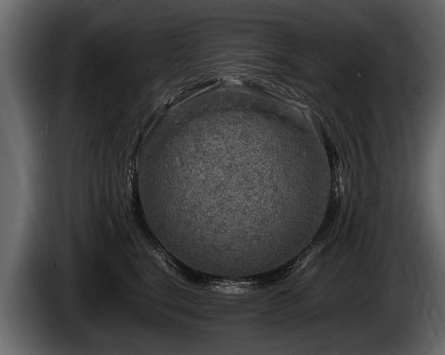 X0000085730664200703231049