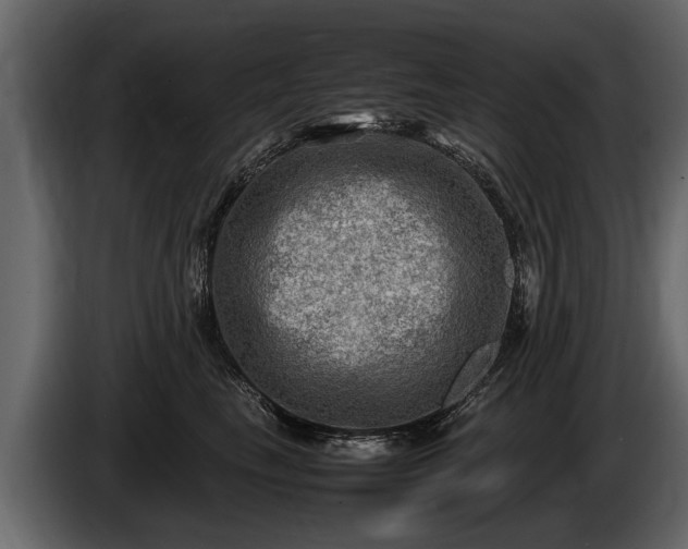 X0000085730665200703231049