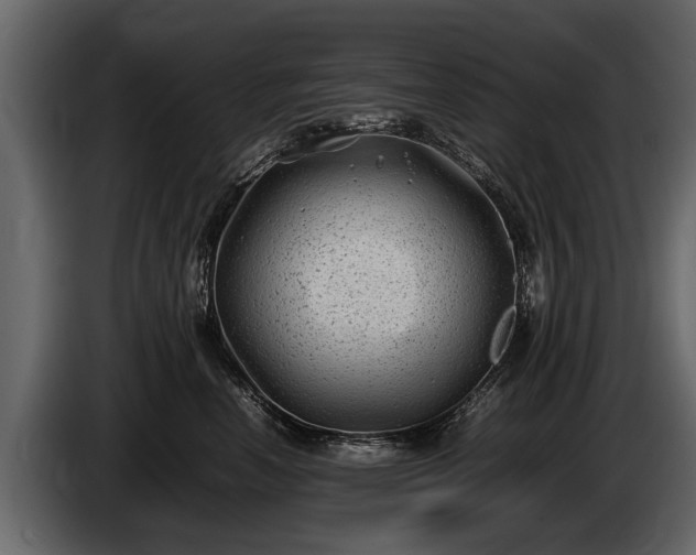 X0000085730666200703231049