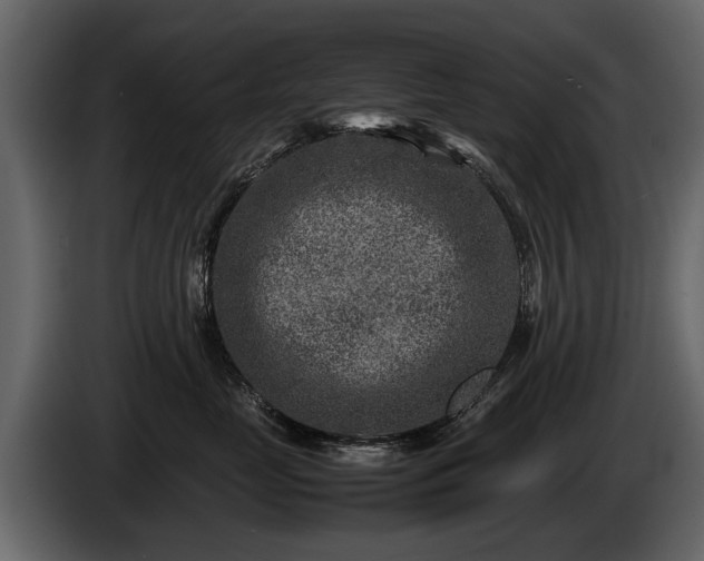 X0000085730669200703231049