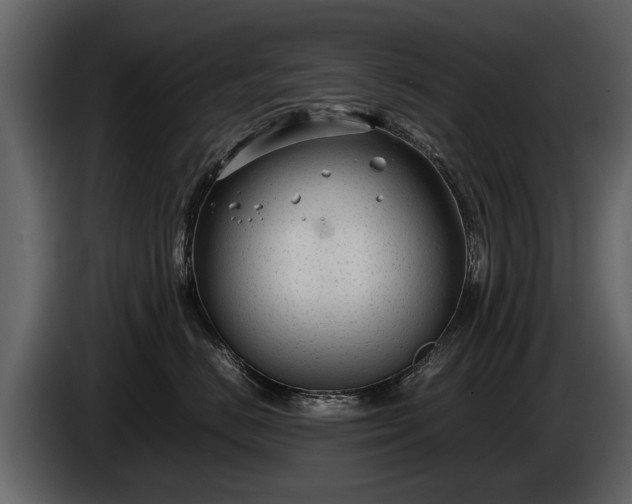 X0000085730670200703231049