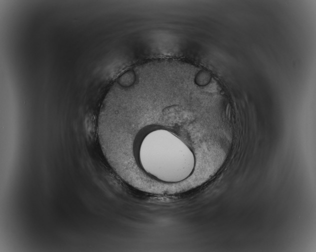 X0000085730672200703231049