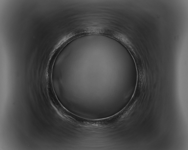 X0000085730674200703231049