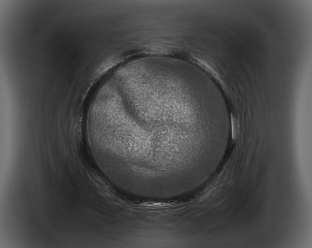 X0000085730675200703231049