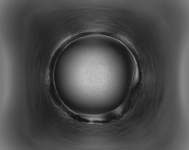 X0000085730676200703231049