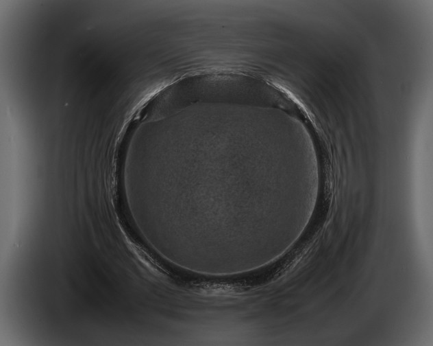 X0000085730677200703231049