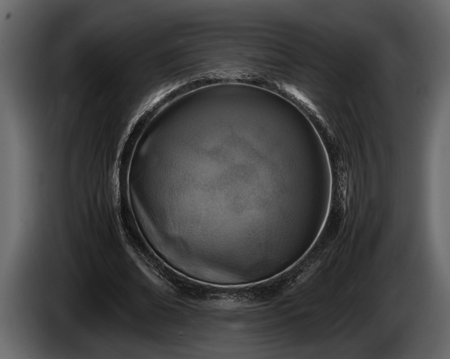 X0000085730678200703231049