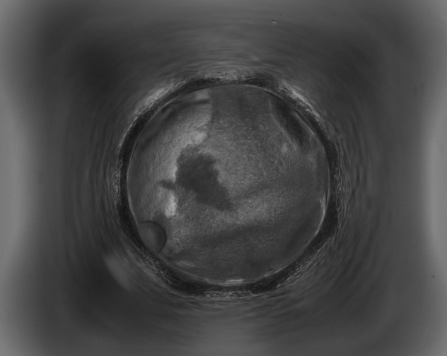 X0000085730679200703231049