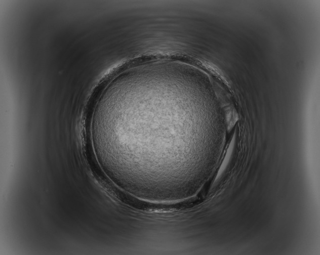 X0000085730680200703231049