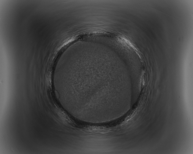 X0000085730681200703231049