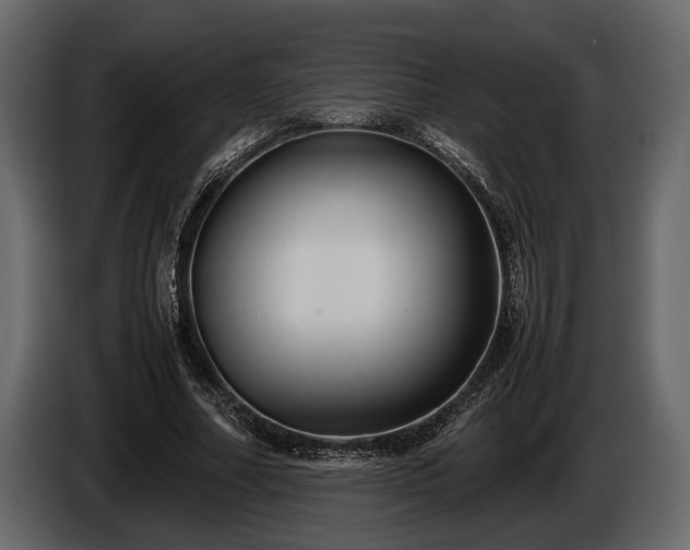 X0000085730682200703231048