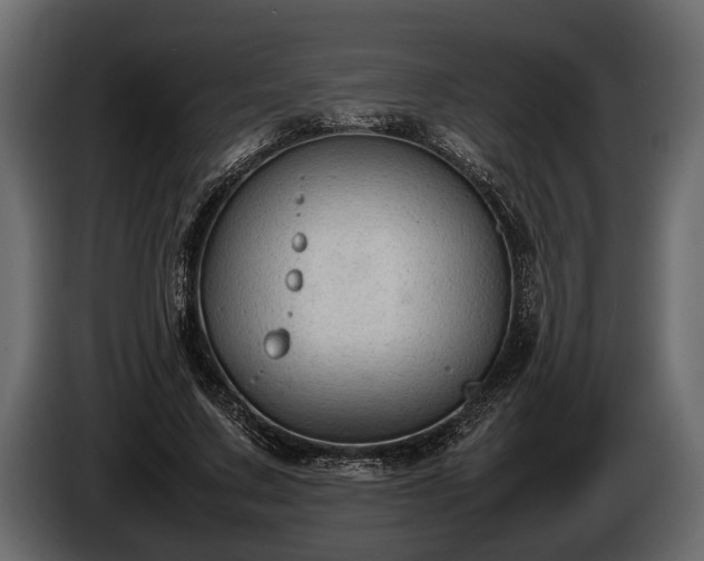 X0000085730683200703231048