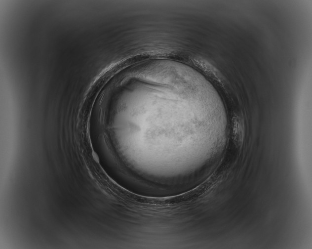 X0000085730684200703231048