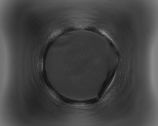 X0000085730685200703231048