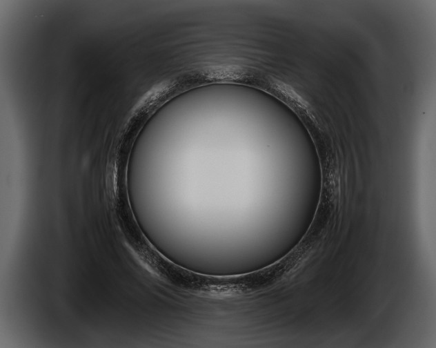 X0000085730686200703231048