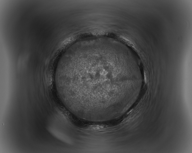 X0000085730687200703231048