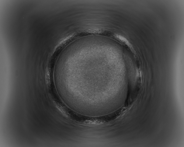 X0000085730688200703231048