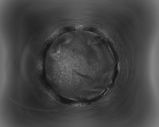 X0000085730691200703231048