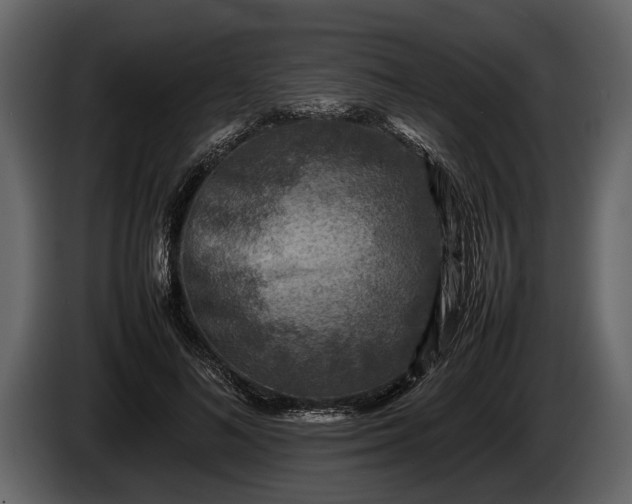 X0000085730692200703231048