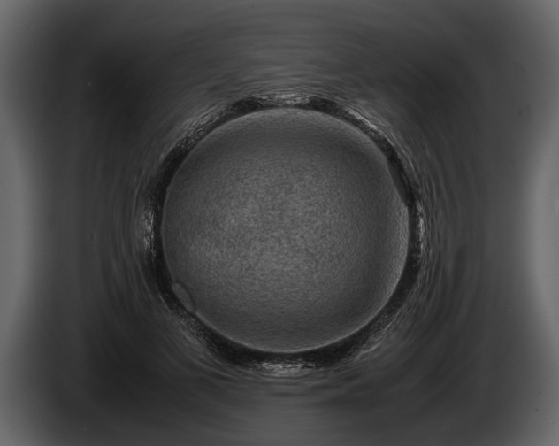 X0000085730693200703231048