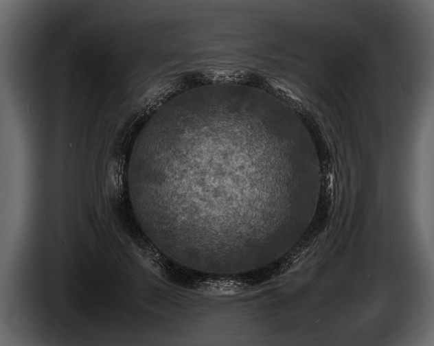 X0000085730695200703231048