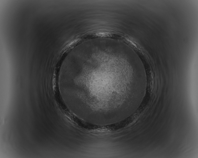 X0000085730696200703231048