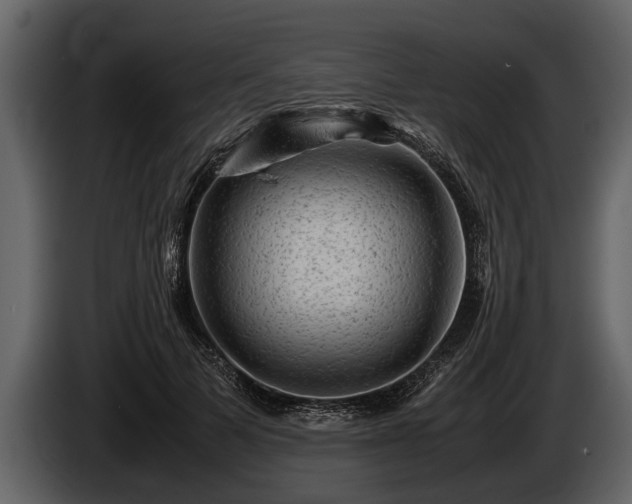 X0000085730697200703231048