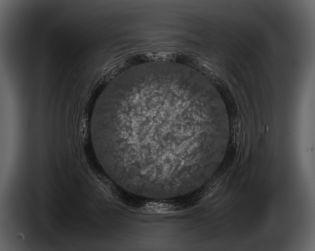 X0000085730699200703231048