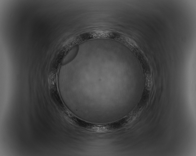 X0000085730701200703231048